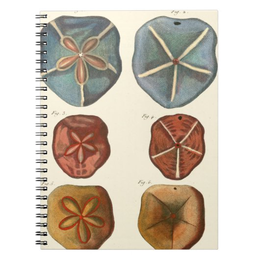 Sand Dollars-Pareltjes Notitieboek (Voorkant)