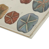 Sand Dollars-Pareltjes Snijplank (Hoek)