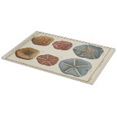 Sand Dollars-Pareltjes Snijplank (Hoek)