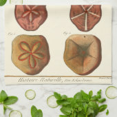 Sand Dollars-Pareltjes Theedoek (Gevouwen)