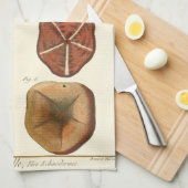 Sand Dollars-Pareltjes Theedoek (Quarter Fold)