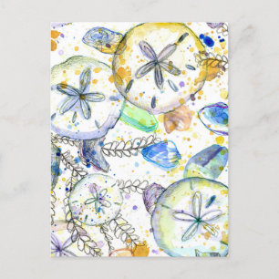 Sand Dollars Seashells Ocean Zee Treasures Briefkaart