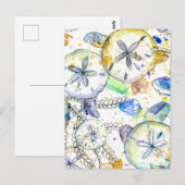 Sand Dollars Seashells Ocean Zee Treasures Briefkaart (Voorkant / Achterkant)