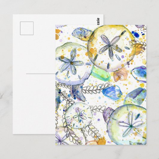 Sand Dollars Seashells Ocean Zee Treasures Briefkaart (Voorkant / Achterkant)