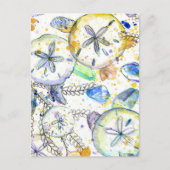 Sand Dollars Seashells Ocean Zee Treasures Briefkaart (Voorkant)