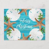 Sand Dollars Starfish Kerstboodschap Briefkaarten (Voorkant)