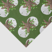 Sand Dollars Tropische kerstpatronen Tissuepapier (Detail)