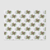 Sand Dollars Tropische kerstpatronen Tissuepapier (Voorkant)