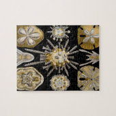  Sand Dollars Zee Urchins door Ernst Haeckel Legpuzzel (Horizontaal)