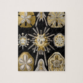  Sand Dollars Zee Urchins door Ernst Haeckel Legpuzzel