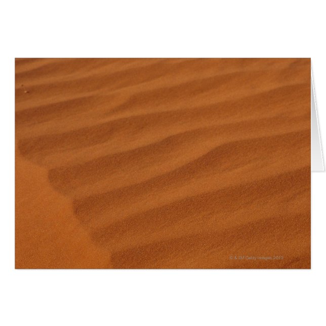 Sand dune (Voorkant Horizontaal)