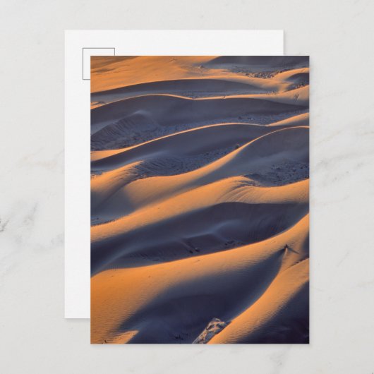 Sand Dune Abstract Briefkaart (Voorkant / Achterkant)