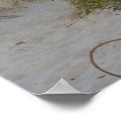 Sand Dune and Life Ring Beach Seascape Florida Poster (Hoek)