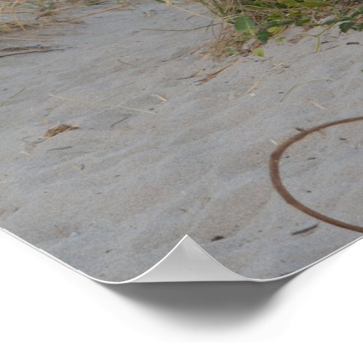 Sand Dune and Life Ring Beach Seascape Florida Poster (Hoek)