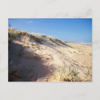 Sand dune briefkaart