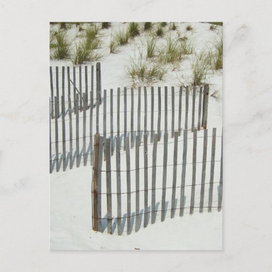 Sand Dune Fence Briefkaart (Voorkant)