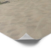 Sand Dunes Beach Wave Boat Photo Poster Print (Hoek)