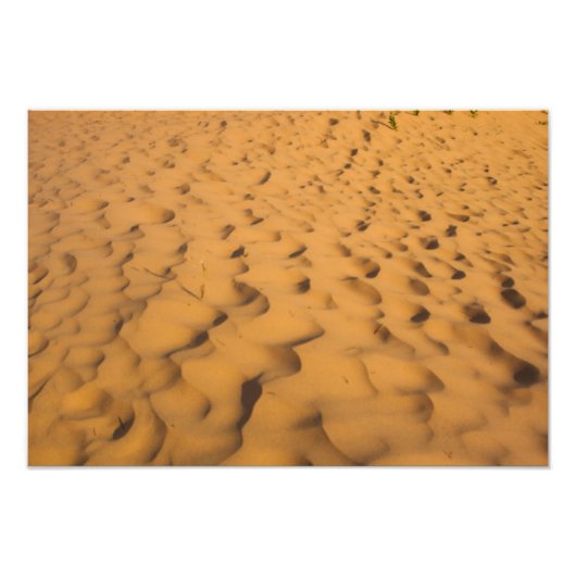 Sand Dunes bij Pictured Rocks NL, Michigan Foto Afdruk (Voorkant)