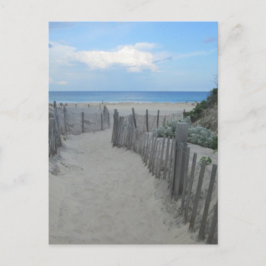 Sand Dunes Block Island Briefkaart (Voorkant)