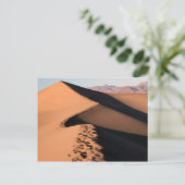 Sand Dunes - Death Valley Briefkaart (Staand voorkant)