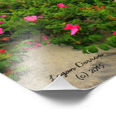 Sand Dunes en Beach Rozen ~ Block Island, RI Foto Afdruk (Hoek)