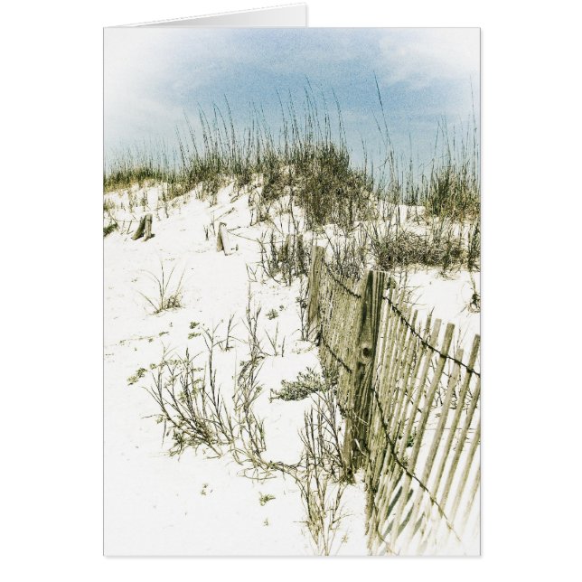Sand Dunes Fence (Voorkant)