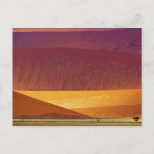 Sand Dunes Namib-Naukluft National Park Namibië Briefkaart