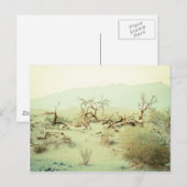 Sand Dunes of Death Valley Briefkaart (Voorkant / Achterkant)