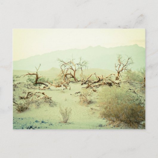 Sand Dunes of Death Valley Briefkaart (Voorkant)