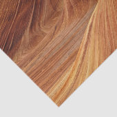 Sand Dunes Tissuepapier (Detail)