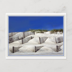 Sand Fences Briefkaart