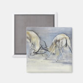 Sand Gazelles 2009 3 Magneet (Voorkant / Achterkant)