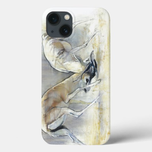 Sand Gazelles 2009 4 Case-Mate iPhone Case (Achterkant)