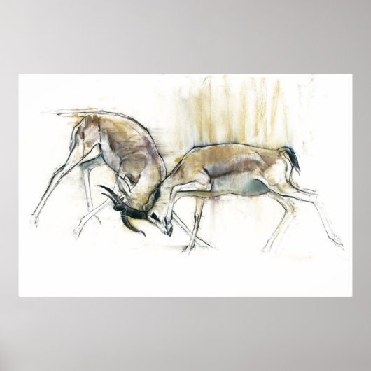 Sand Gazelles 2009 Poster (Voorkant)