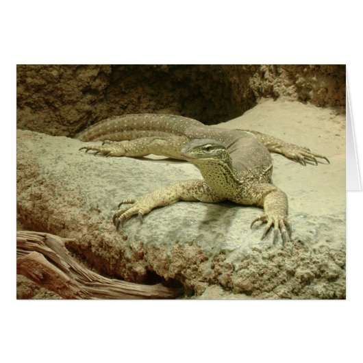 Sand goanna (Voorkant Horizontaal)