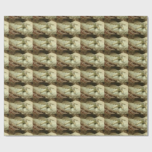 Sand goanna cadeaupapier