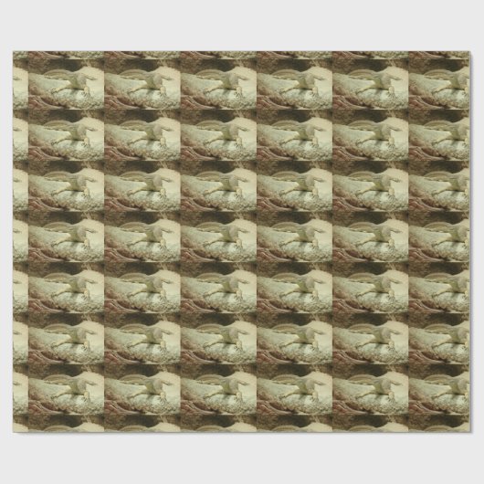 Sand goanna cadeaupapier (Vlak)