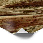 Sand goanna perfect poster (Hoek)