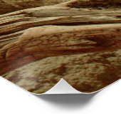 Sand goanna perfect poster (Hoek)