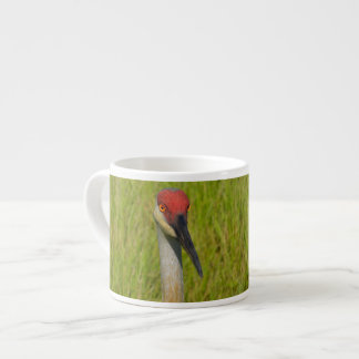 Sand Hill Crane kijkt naar camera Espresso Kop