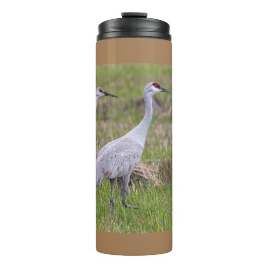 Sand Hill Crane Thermal Tumbler Thermosbeker (Voorkant)