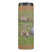 Sand Hill Crane Thermal Tumbler Thermosbeker (Achterkant)