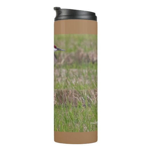 Sand Hill Crane Thermal Tumbler Thermosbeker (Geroteerd rechts)