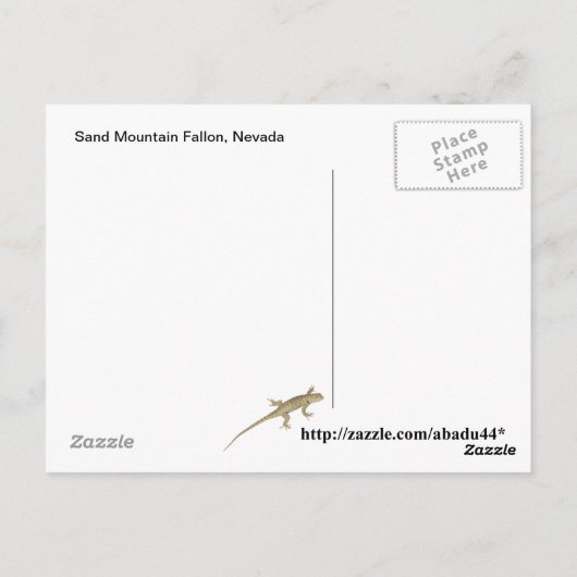Sand Mountain Fallon, Nevada Briefkaart (Achterkant)