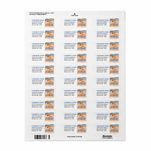 SAND N' ZEE Rode Chow adresetiketten Etiket (Full Sheet)