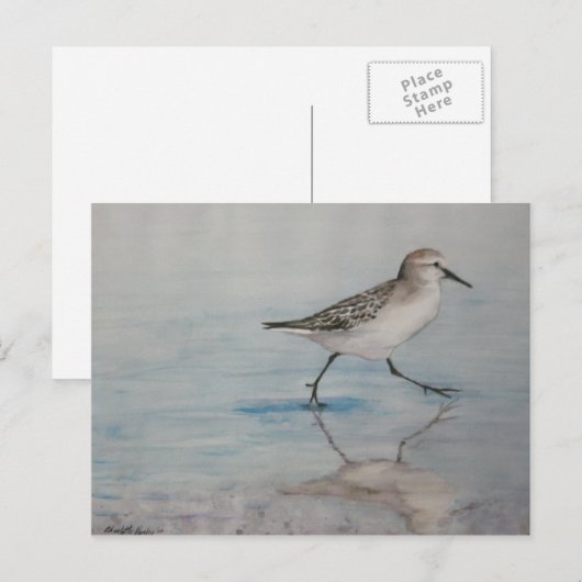 Sand Piper Bird Art Briefkaart (Voorkant / Achterkant)