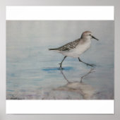 Sand Piper Bird Art Print (Voorkant)