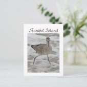 Sand Piper Sanibel Island Briefkaart (Staand voorkant)