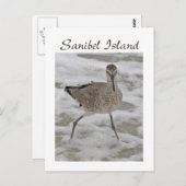 Sand Piper Sanibel Island Briefkaart (Voorkant / Achterkant)