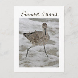 Sand Piper Sanibel Island Briefkaart